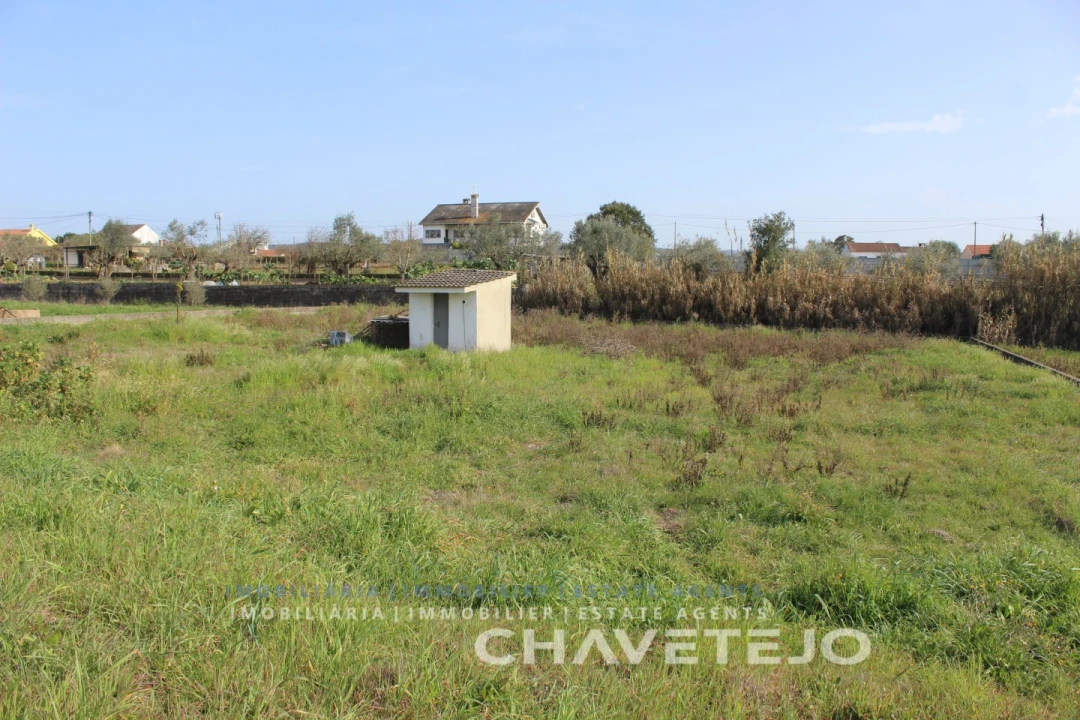 Terreno Agricola ou Rústico para Venda em São João Baptista e Santa Maria dos Olivais Foto 8