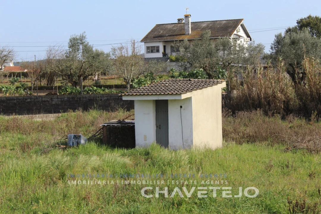Terreno Agricola ou Rústico para Venda em São João Baptista e Santa Maria dos Olivais Foto 9