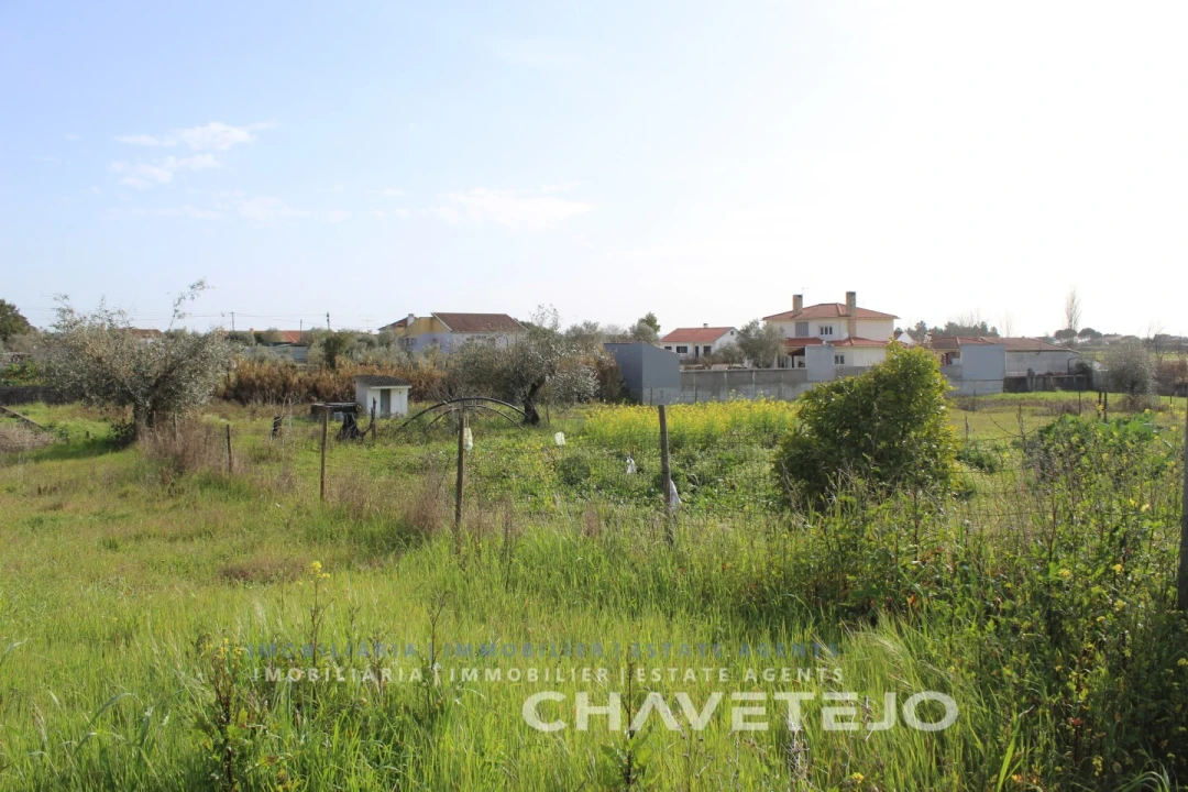 Terreno Agricola ou Rústico para Venda em São João Baptista e Santa Maria dos Olivais Foto 10
