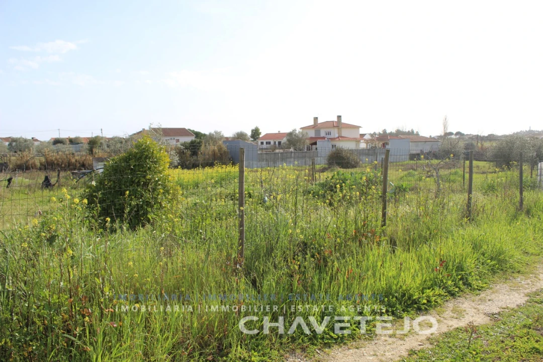 Terreno Agricola ou Rústico para Venda em São João Baptista e Santa Maria dos Olivais Foto 11