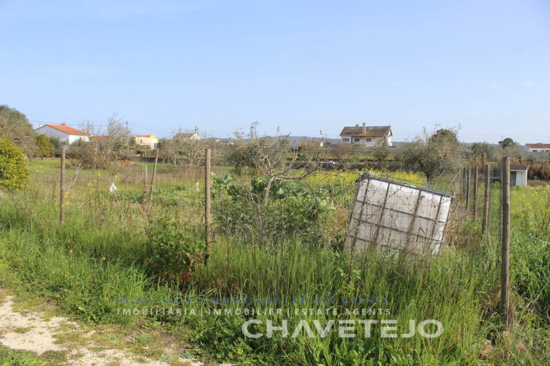 Terreno Agricola ou Rústico para Venda em São João Baptista e Santa Maria dos Olivais Foto 12