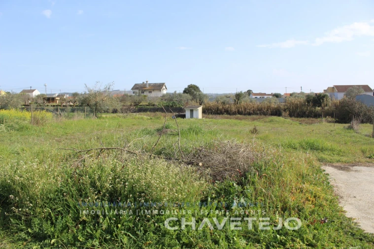 Terreno Agricola ou Rústico para Venda em São João Baptista e Santa Maria dos Olivais Foto 2