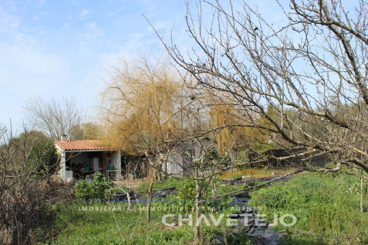 Terreno Agricola ou Rústico para Venda em São João Baptista e Santa Maria dos Olivais Foto 4
