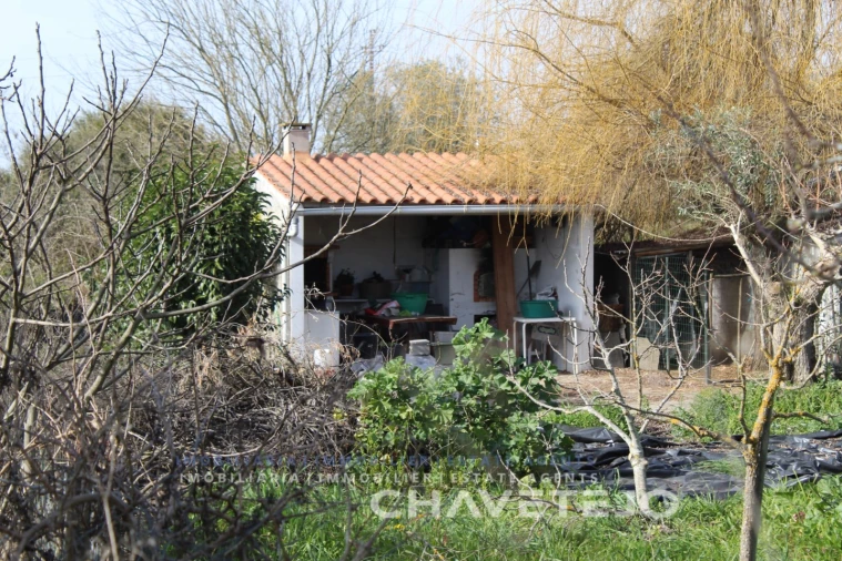 Terreno Agricola ou Rústico para Venda em São João Baptista e Santa Maria dos Olivais Foto 6