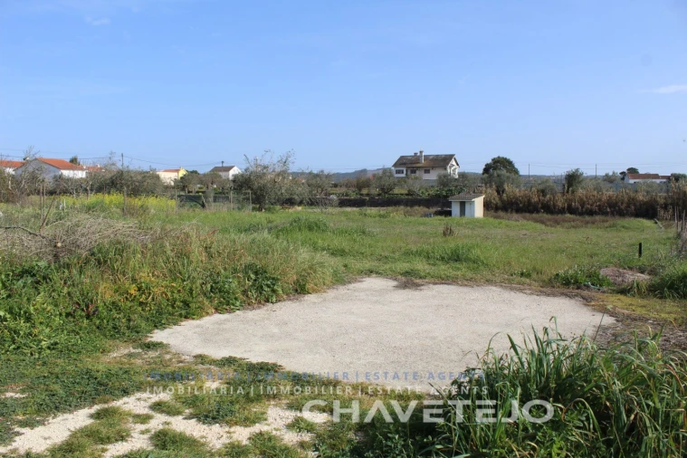 Terreno Agricola ou Rústico para Venda em São João Baptista e Santa Maria dos Olivais Foto 7