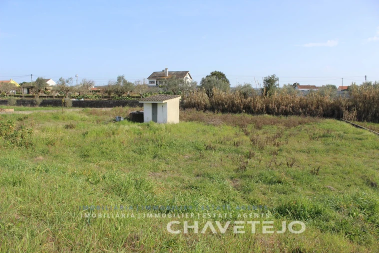 Terreno Agricola ou Rústico para Venda em São João Baptista e Santa Maria dos Olivais Foto 8