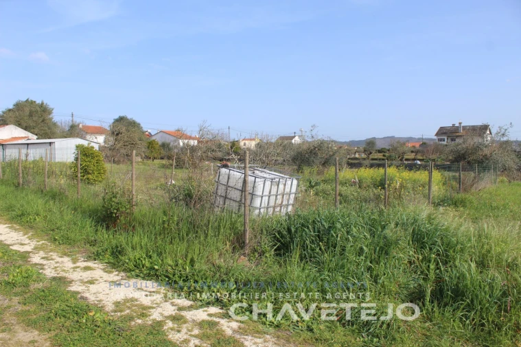 Terreno Agricola ou Rústico para Venda em São João Baptista e Santa Maria dos Olivais Foto 13