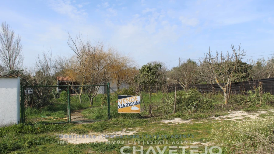 Terreno Agricola ou Rústico para Venda em São João Baptista e Santa Maria dos Olivais