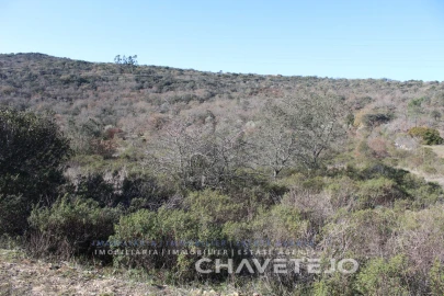 Terreno Agricola ou Rústico para Venda em Chãos