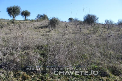 Terreno Agricola ou Rústico para Venda em Chãos