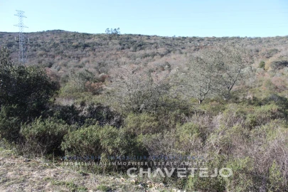 Terreno Agricola ou Rústico para Venda em Chãos