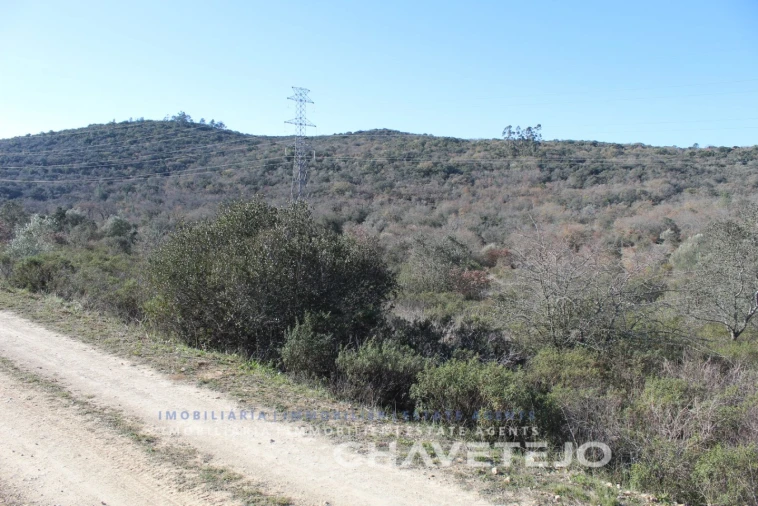 Terreno Agricola ou Rústico para Venda em Chãos Foto 2