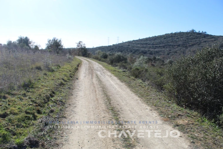 Terreno Agricola ou Rústico para Venda em Chãos Foto 3