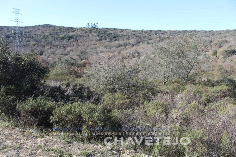 Terreno Agricola ou Rústico para Venda em Chãos Foto 6