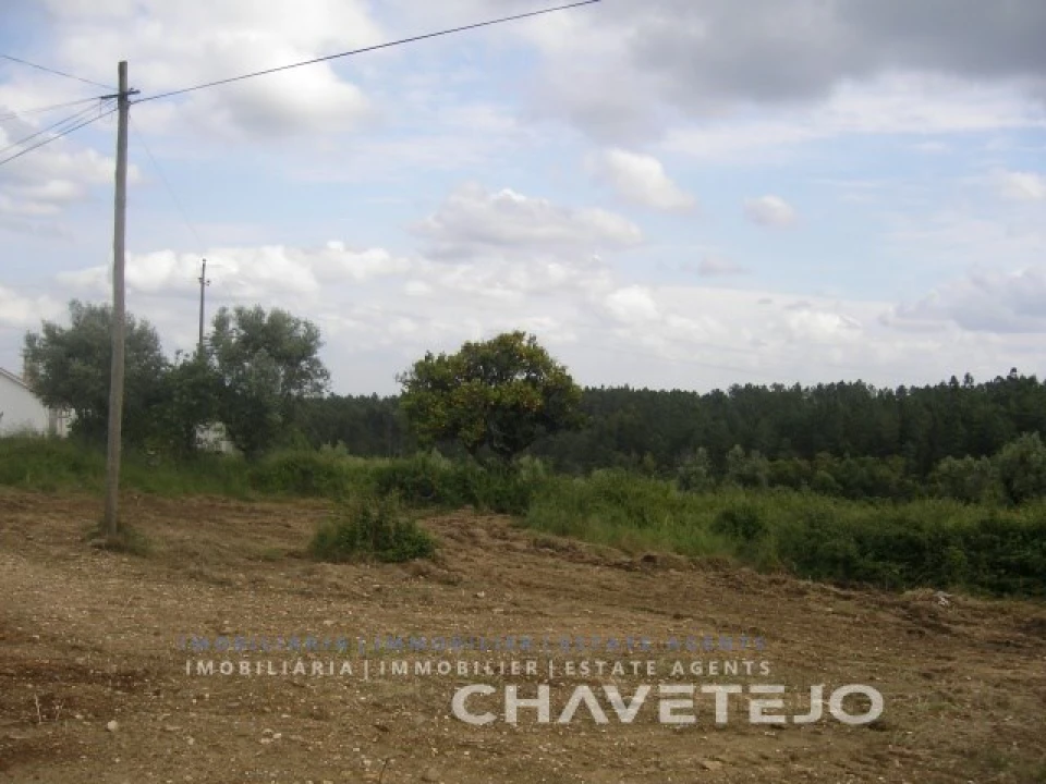 Terreno para Venda em Olalhas Foto 2