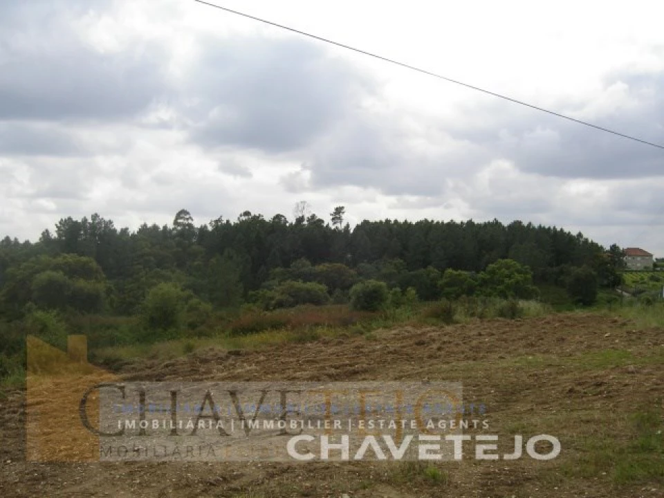 Terreno para Venda em Olalhas Foto 4