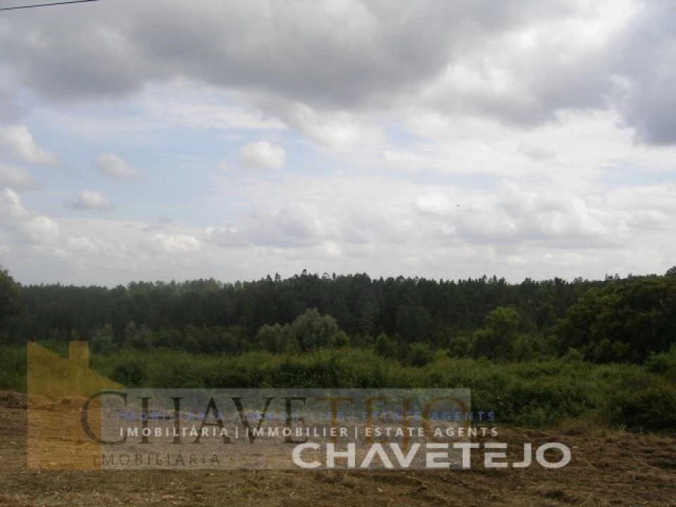 Terreno para Venda em Olalhas Foto 5