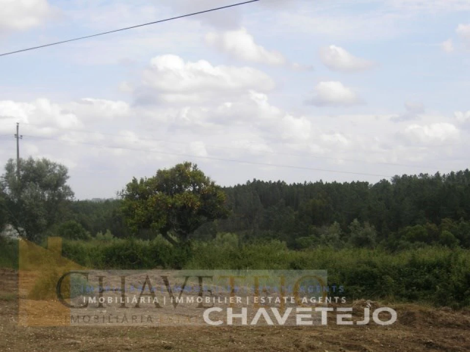 Terreno para Venda em Olalhas Foto 6