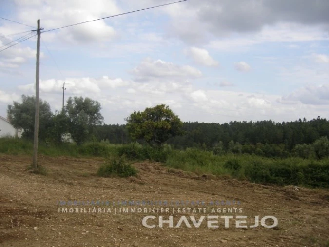 Terreno para Venda em Olalhas Foto 2