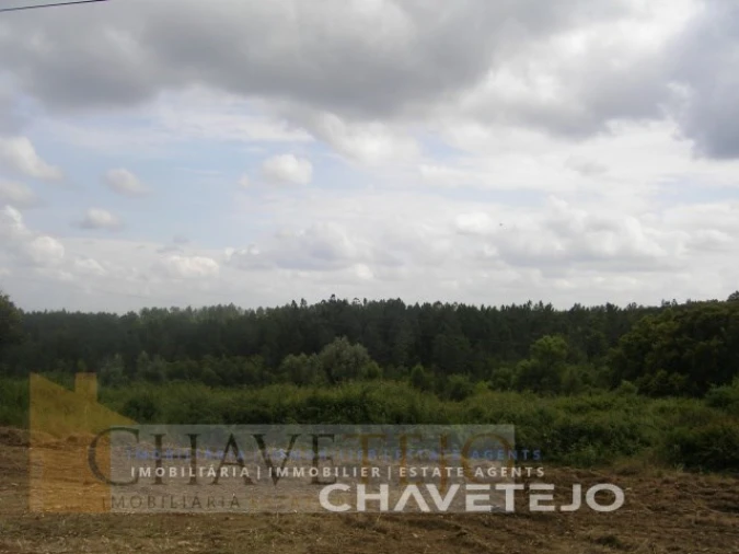 Terreno para Venda em Olalhas Foto 5