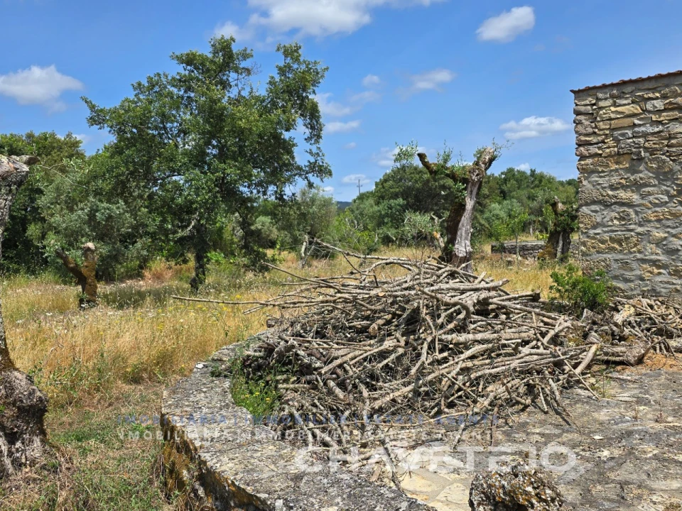 Moradia T2 para Venda em Areias e Pias Foto 8