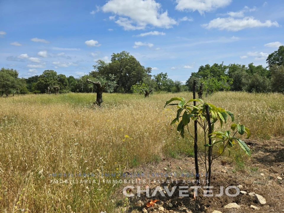 Moradia T2 para Venda em Areias e Pias Foto 17