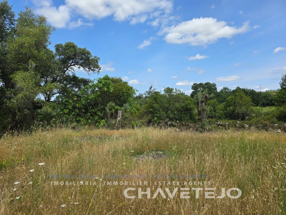 Moradia T2 para Venda em Areias e Pias Foto 19