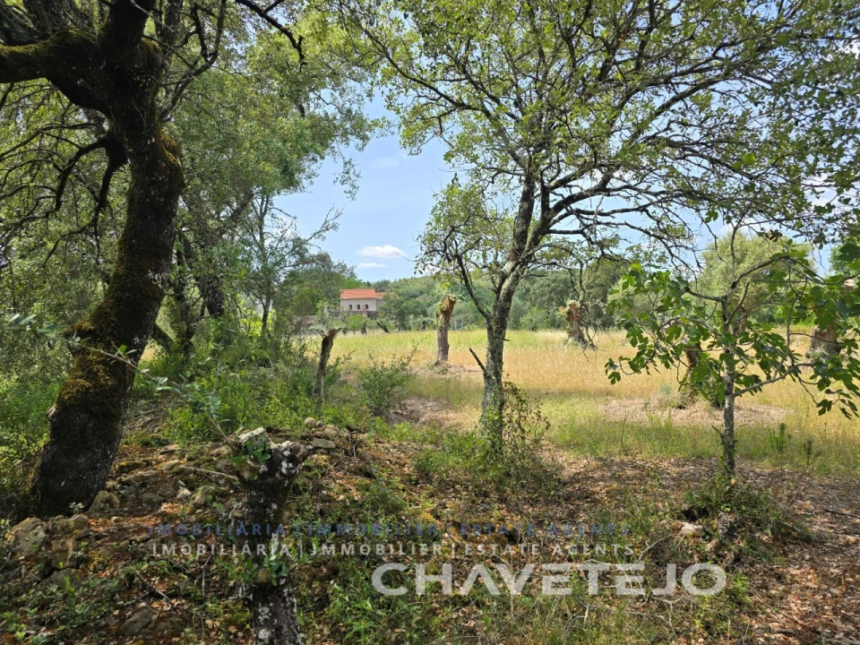 Moradia T2 para Venda em Areias e Pias Foto 20