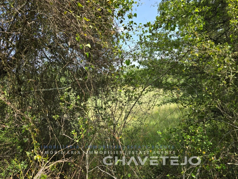 Moradia T2 para Venda em Areias e Pias Foto 21