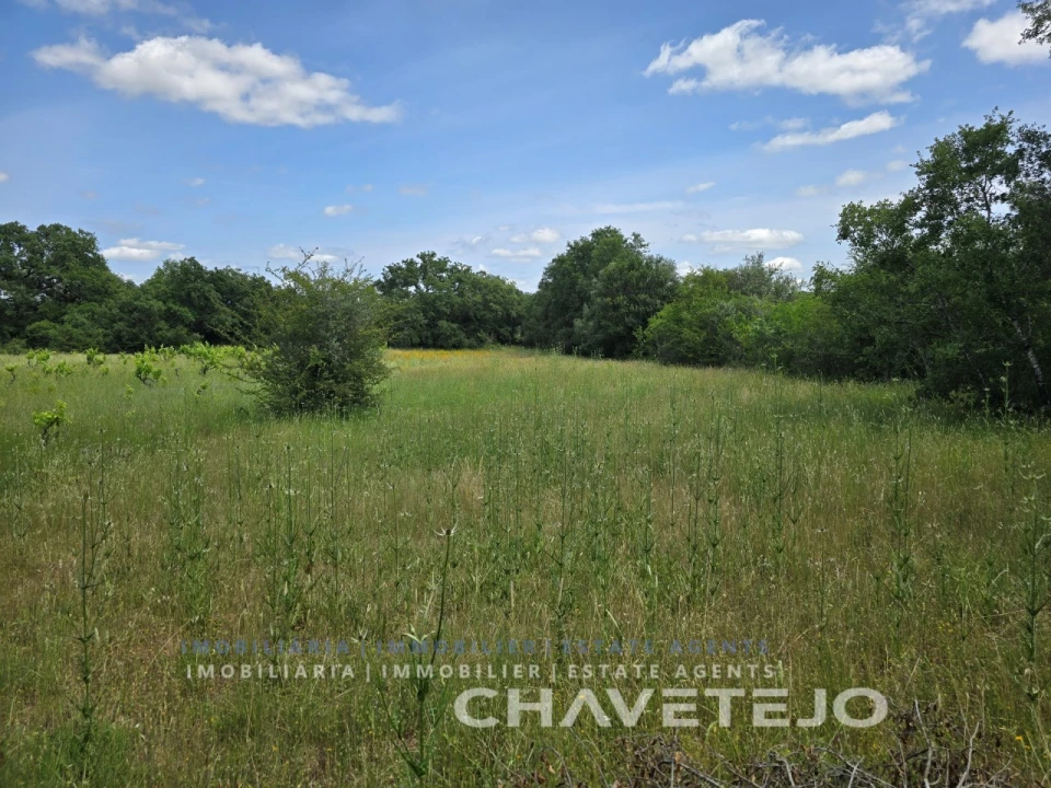 Moradia T2 para Venda em Areias e Pias Foto 24