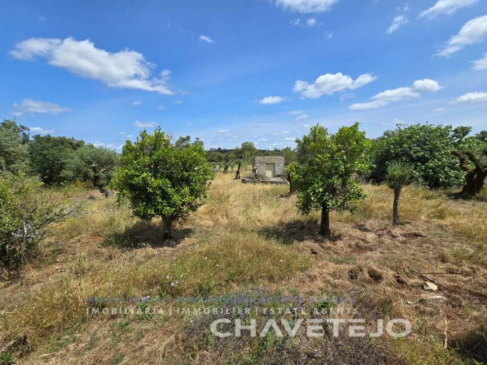 Moradia T2 para Venda em Areias e Pias Foto 33