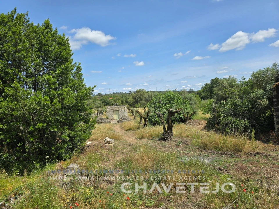 Moradia T2 para Venda em Areias e Pias Foto 34