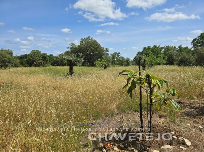 Moradia T2 para Venda em Areias e Pias Foto 17