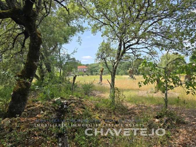 Moradia T2 para Venda em Areias e Pias Foto 20