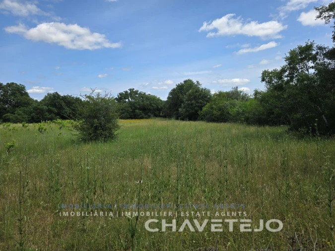 Moradia T2 para Venda em Areias e Pias Foto 23