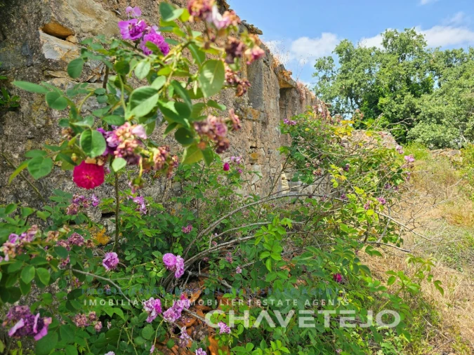 Moradia T2 para Venda em Areias e Pias Foto 29