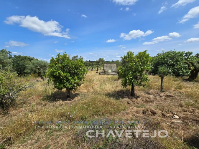 Moradia T2 para Venda em Areias e Pias Foto 33