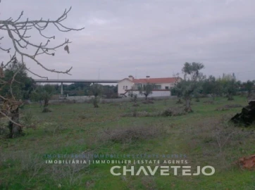 Terreno para Venda em Paialvo