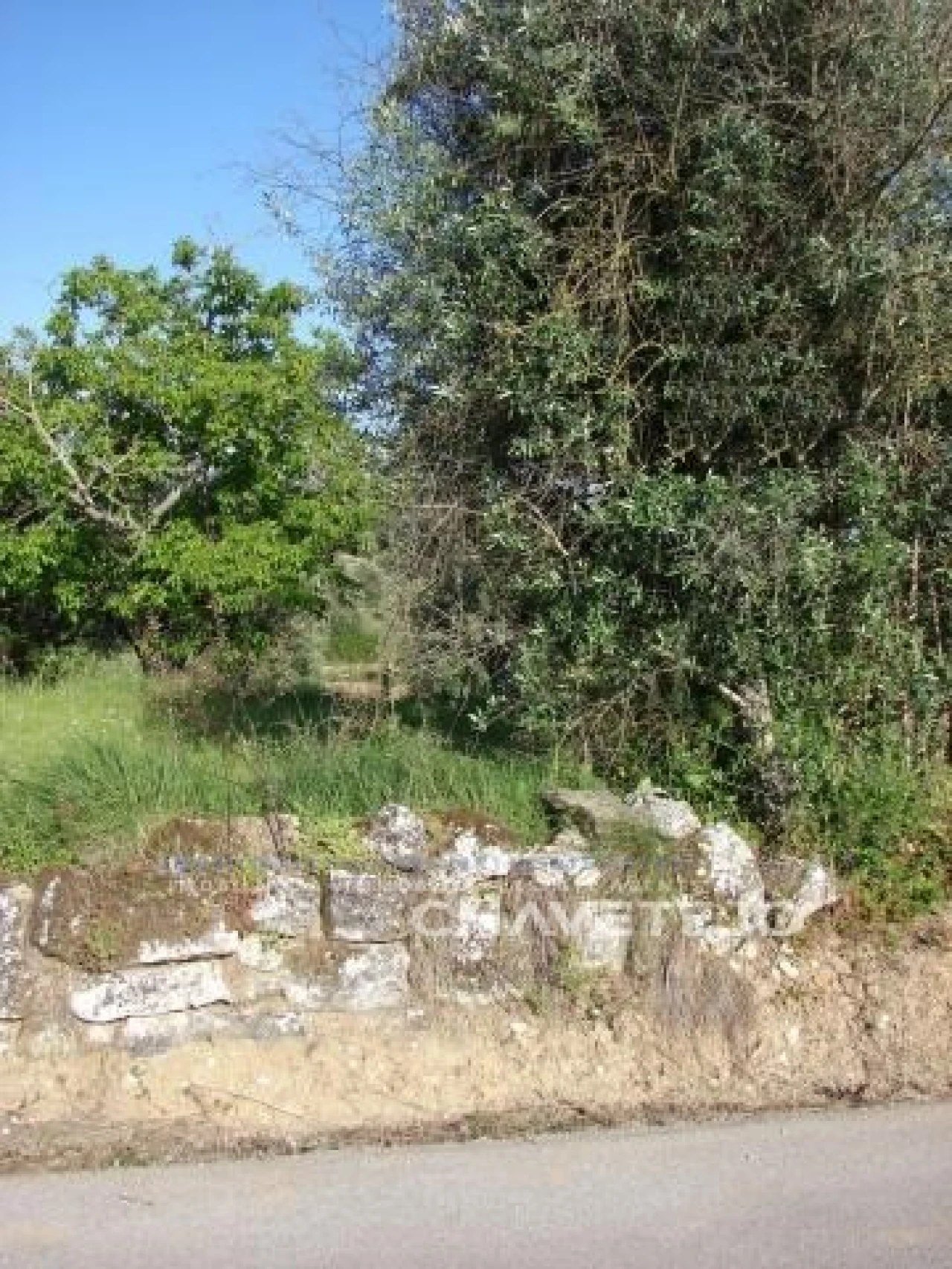 Terreno para Venda em Olaia e Paço Foto 6