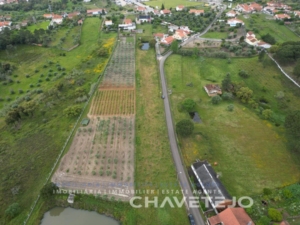 Terreno para Venda em Casais e Alviobeira Foto 5
