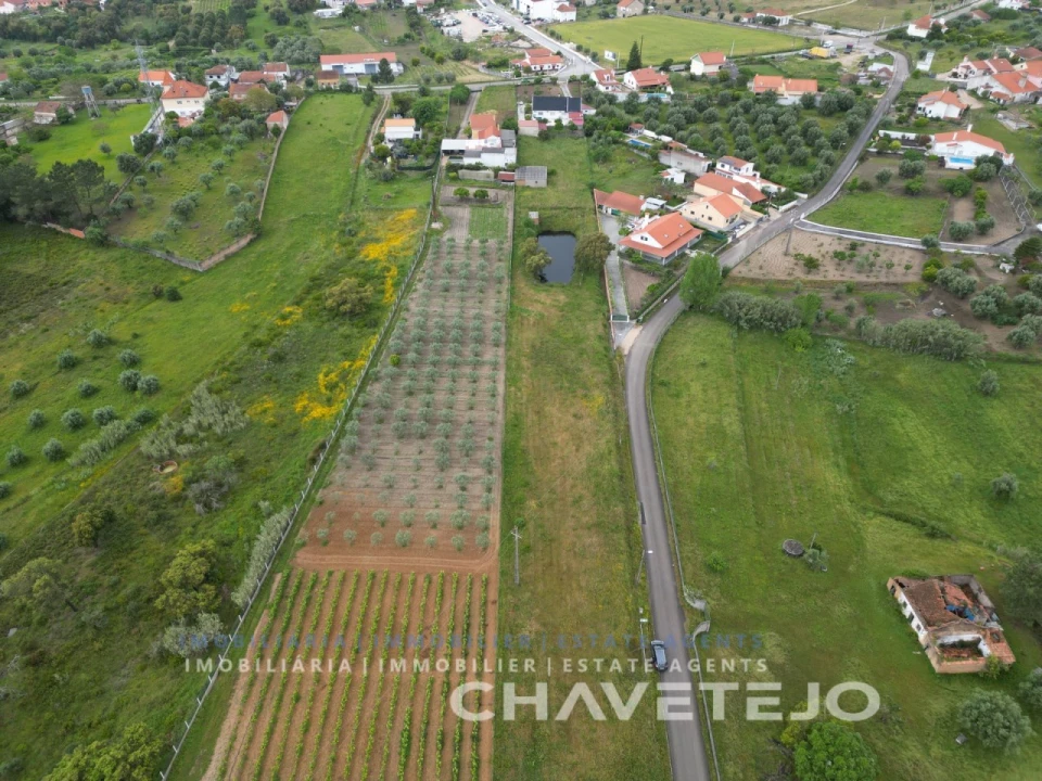 Terreno para Venda em Casais e Alviobeira Foto 6
