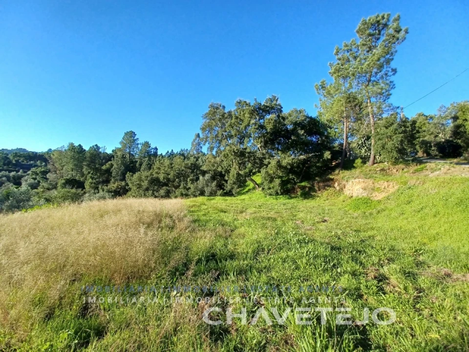 Terreno para Venda em Serra e Junceira Foto 6