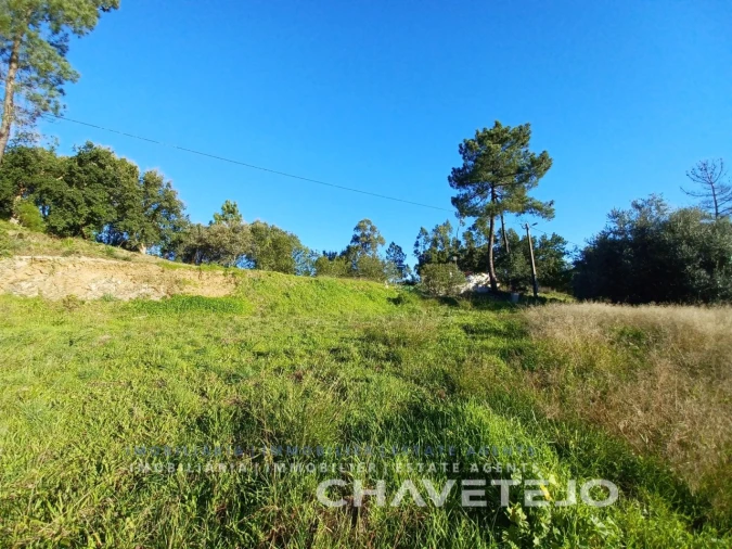 Terreno para Venda em Serra e Junceira Foto 5