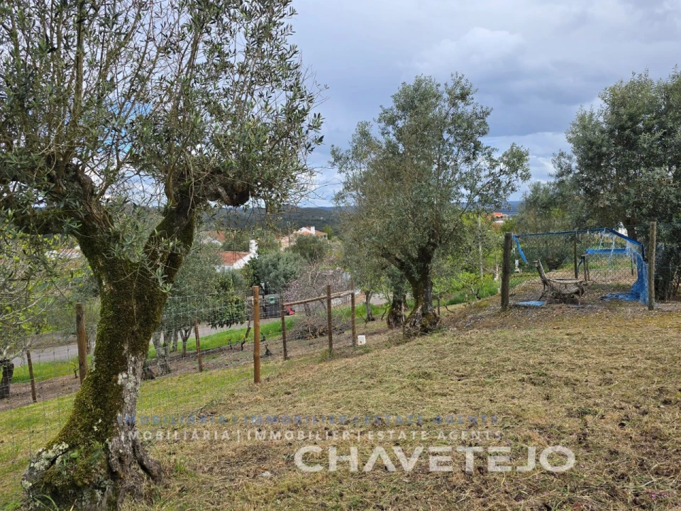 Moradia T2 para Venda em Serra e Junceira Foto 9