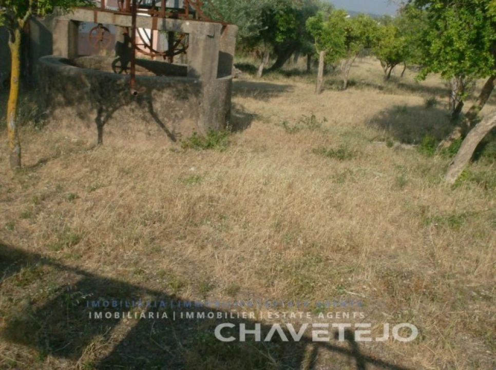 Terreno para Venda em São João Baptista e Santa Maria dos Olivais Foto 3