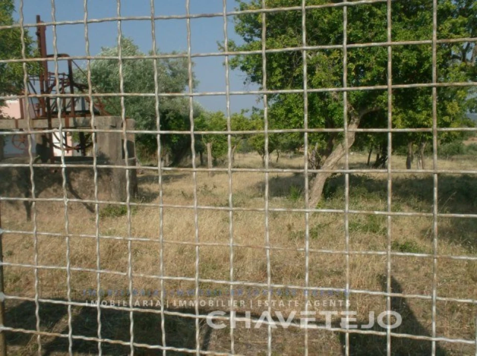 Terreno para Venda em São João Baptista e Santa Maria dos Olivais Foto 4