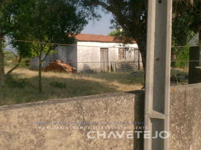 Terreno para Venda em São João Baptista e Santa Maria dos Olivais Foto 2