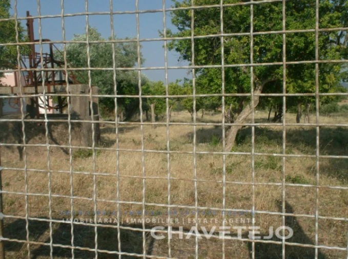 Terreno para Venda em São João Baptista e Santa Maria dos Olivais Foto 4