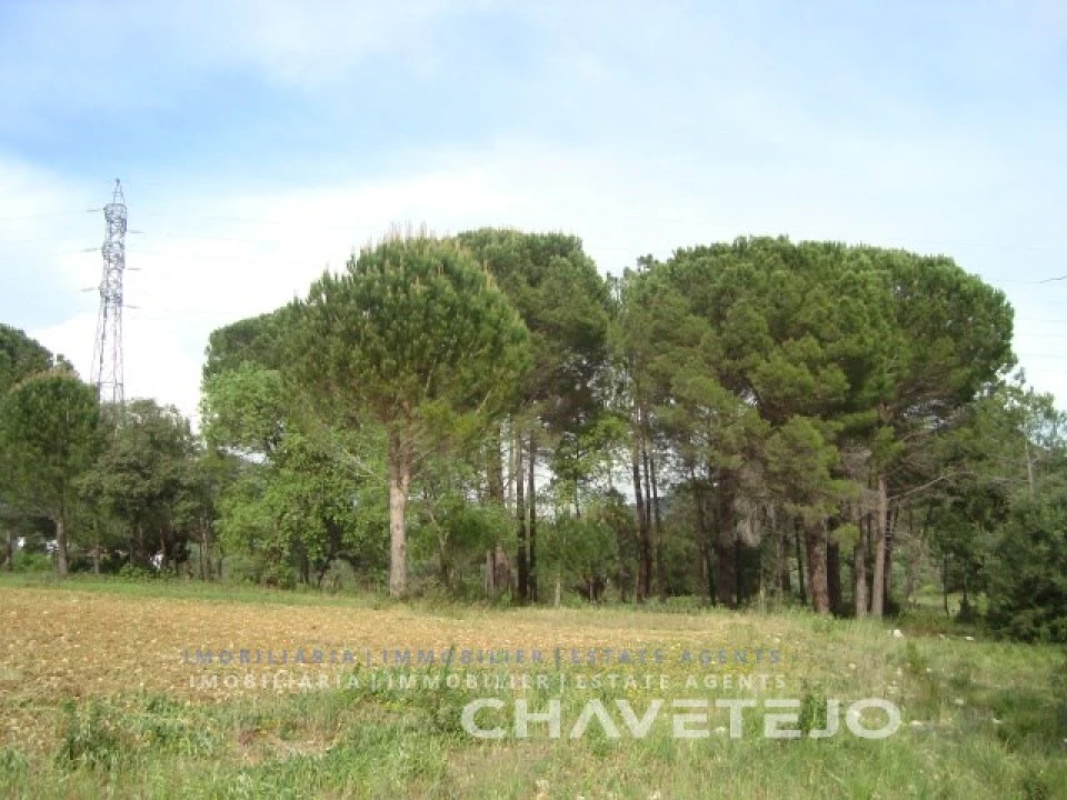 Moradia T2 para Venda em Casais e Alviobeira Foto 9