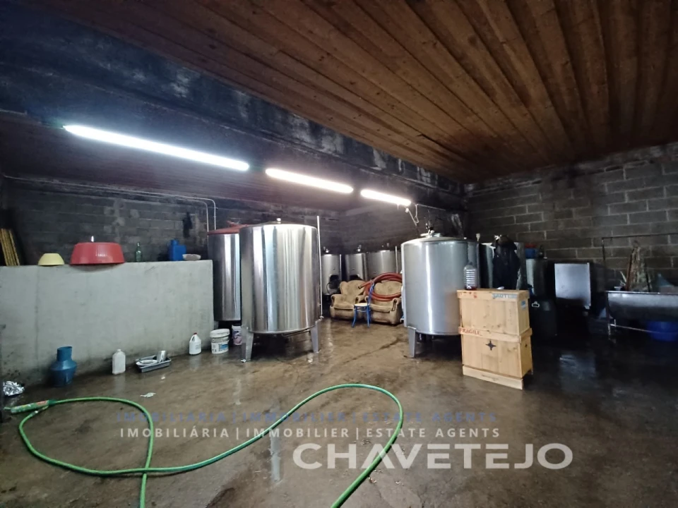 Prédio para Venda em Paialvo Foto 24